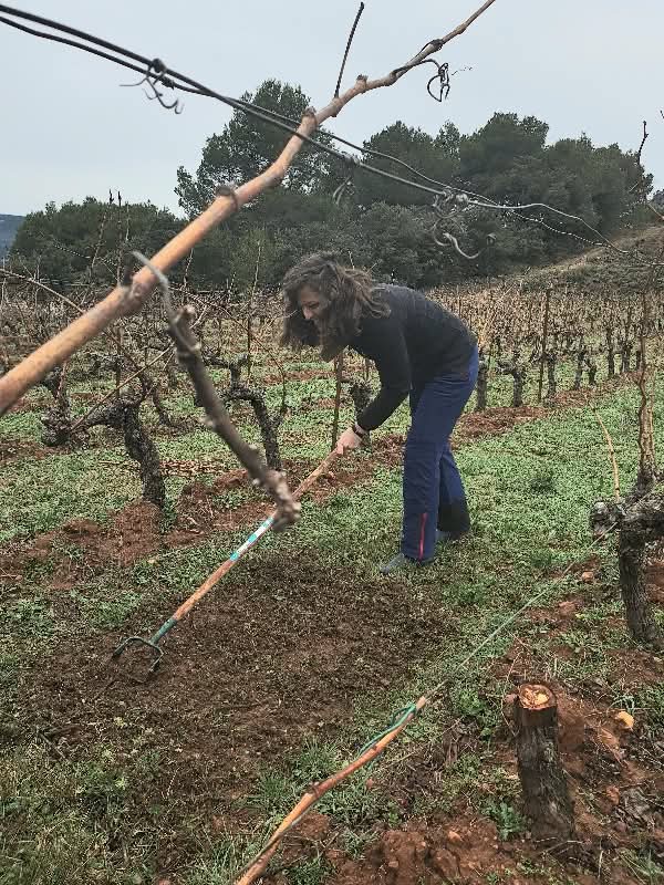 Exploring Soil Biodiversity at Domaine les Baies Goûts