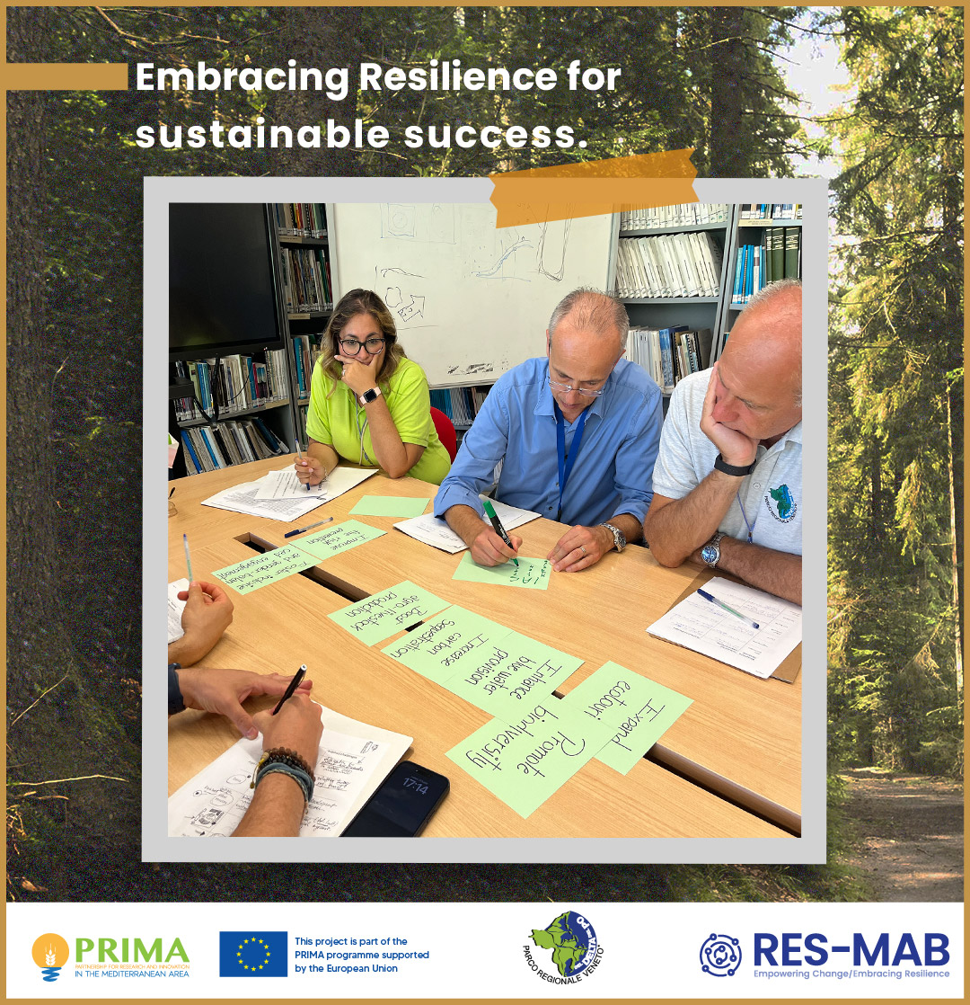 At RES-MAB, we are committed to resilience as a pathway to sustainable solutions.