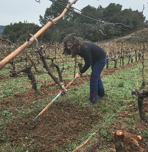 Explorando la biodiversidad del suelo en Domaine les Baies Goûts 