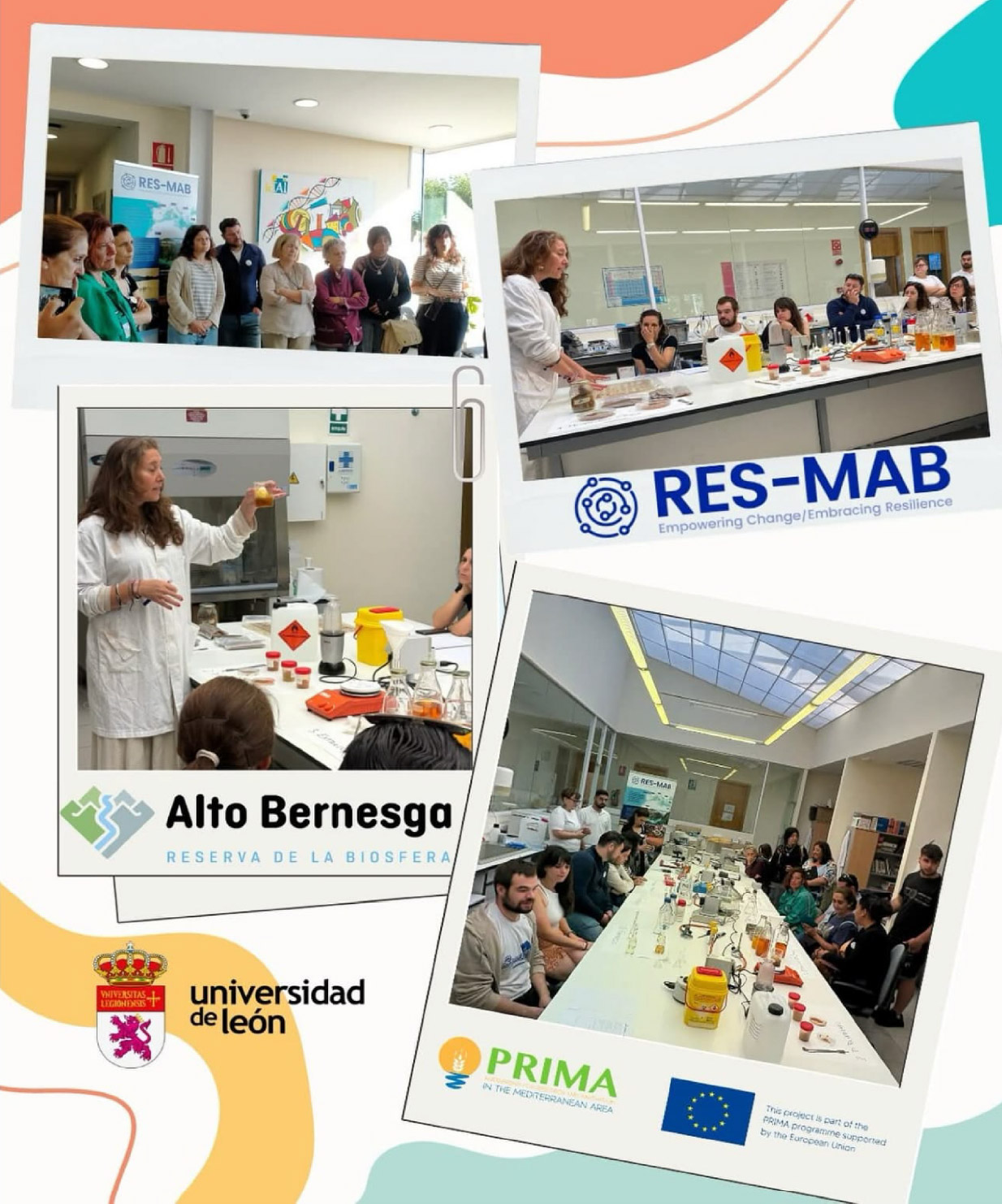 La Reserva de la Biosfera de Alto Bernesga explora el potencial del propóleo a través del proyecto RES-MAB